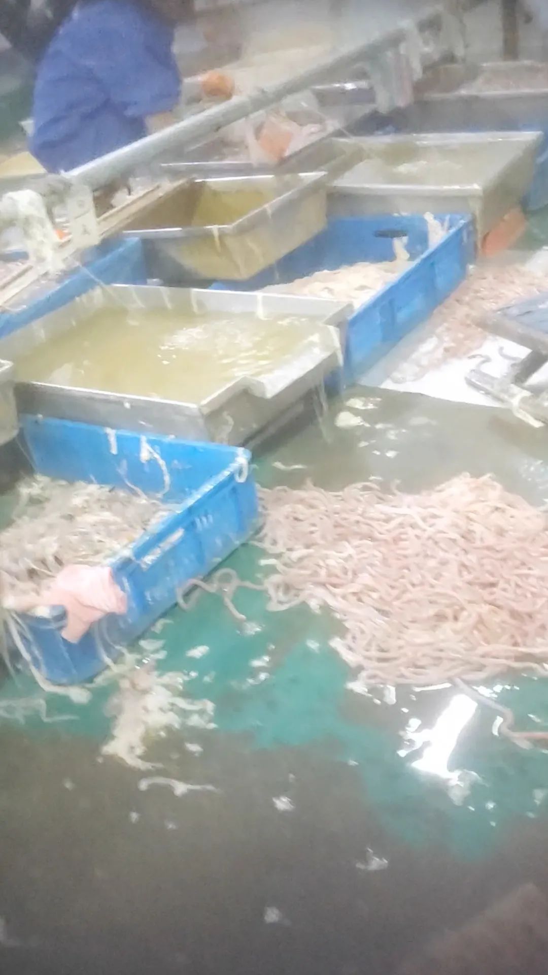 ▲山東雅士享肉類食品有限公司鴨腸生產(chǎn)車間地面堆滿鴨腸。新京報(bào)調(diào)查組 攝